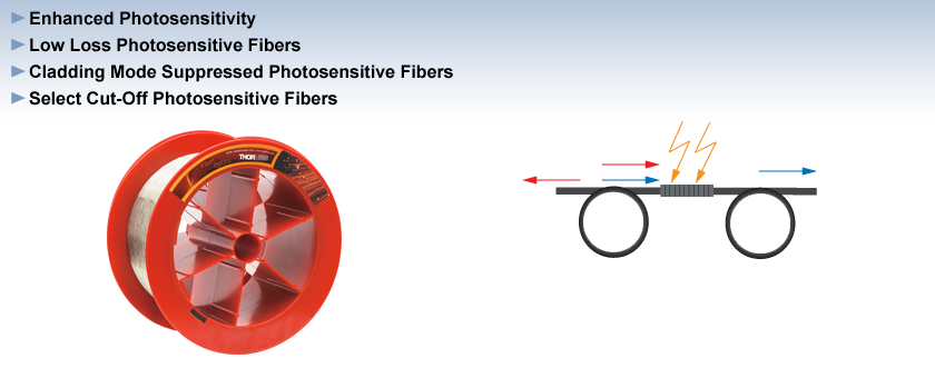 Photosensitive Single Mode Fiber