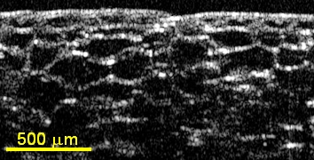 Onion Skin from 90nm SLD