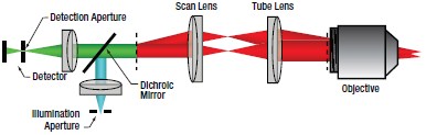 Confocal System Light Path