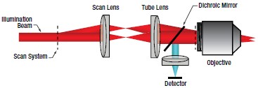 Multiphoton Optical Path