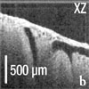 Figure 2b