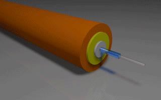 Light Propagation Down Step Index Multimode Fiber (Click to Replay)