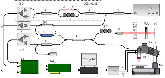OCT-SS Schematic