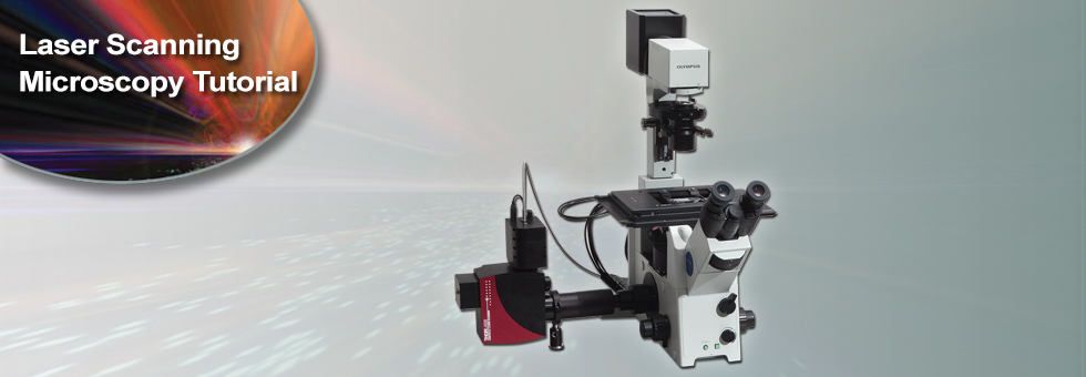 Laser Scanning Microscopy Tutorial