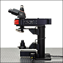 Dodt Contrast Microscope
