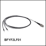 Bifurcated Fiber Bundle, Ø200 µm Core, 0.39 NA, FC/PC to Ferrules