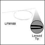 Multimode Fiber with Lensed Tip