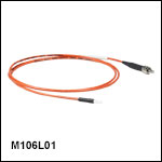 Ø200 µm Core, 0.50 NA, SMA to Ferrule Patch Cable with Ø2.5 mm Ferrules, PVC Jacket