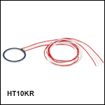 Metal Ceramic Heater with Thermistor
