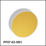 Round Protected Gold Mirrors