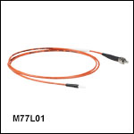 Ø200 µm Core, 0.39 NA SMA to Ferrule Patch Cables with Ø2.5 mm Ferrules, PVC Jacket