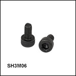 M3 x 0.5 Stainless Steel and Alloy Steel Cap Screws