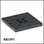 Flexure Stage Accessories: 1/4in-20 (M6) and 8-32 (M4) Tapped Top Plate