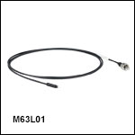 Ø105 µm Core, 0.22 NA SMA to Ferrule Patch Cable with Ø1.25 mm Ferrule, Heat-Shrink Tubing