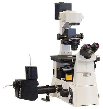 Confocal Microscope