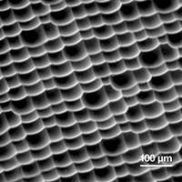 Engineered Diffuser Surface 1