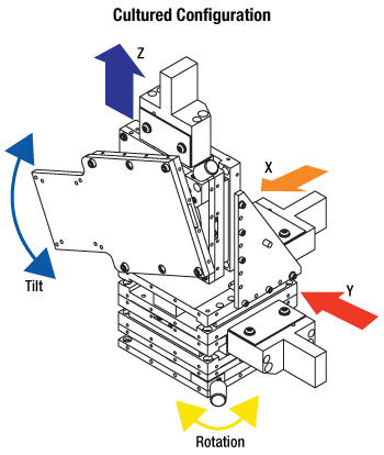 Cultured Configuration Micromanipulator Assembly