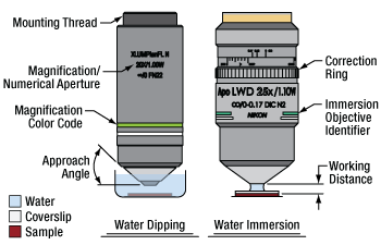 Objective Immersion Methods