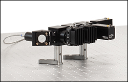 Detector Module with SiPMs and PMTs