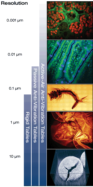 Right Side From Top to Bottom: Pisum Seed (Two Channel Fluorescence Image), Mouse Intestine (Two Photon Fluorescence Image), Mosquito Larva (Laser Scanning Microscopy), Peach Worm Head (Confocal Fluorescence Image), Cracked Drug Bead Coating (OCT Image)