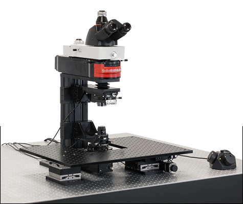 The compact profile of the Cerna<sup>®</sup> microscope body leaves ample space for experimental equipment. This Cerna microscope is equipped with a translating platform which can be used to mount micromanipulators for use in single-cell recording as well as moving samples.