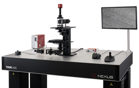 Through the use of fixed arm attachments, a selection of Thorlabs' optomechanical components are integrated into this Cerna system.