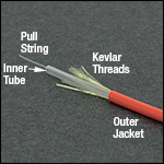 Components of Furcation Tubing