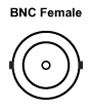 BNC Female