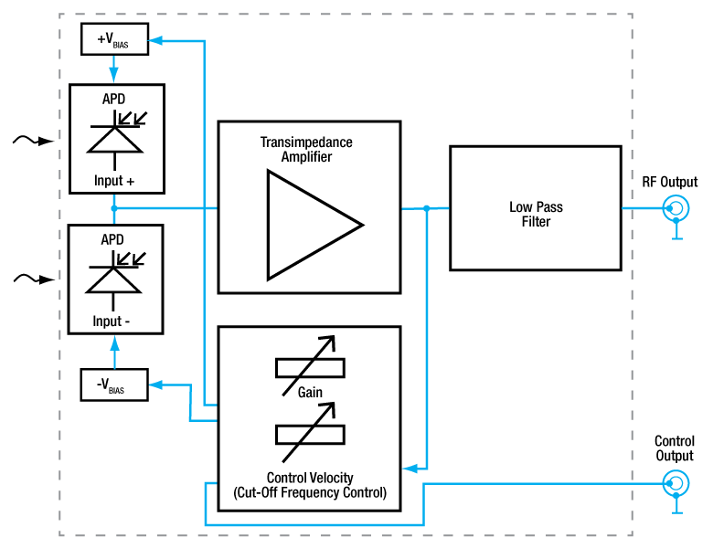 AutoBalanced Detector with Avalanche Photodiodes