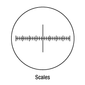 Scales