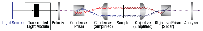 DIC Optical Schematic