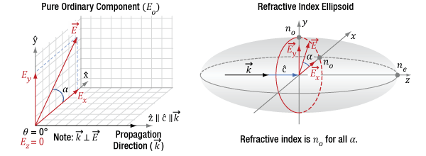 The ordinary wave in a uniaxial birefringent material is polarized perpendicular to the crystal's optic axis and has a refractive index equal to the ordinary refractive index, as depicted using the refractive index ellipsoid.