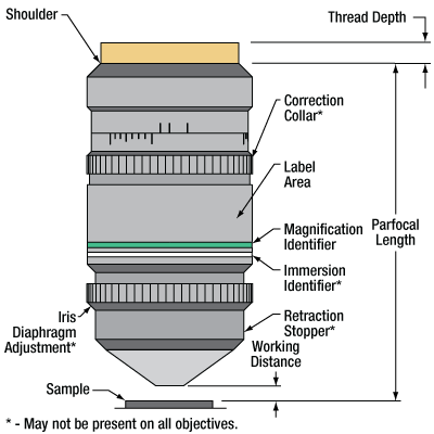 Parts of a Microscope Objective