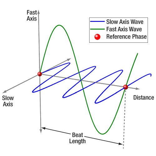 Waves polarized along the fast and slow axis of a PM fiber.