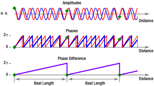 Waves polarized along the fast and slow axis of a PM fiber.