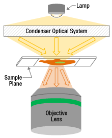 Illustration of light from a white light source incident on a sample over a range of illumination angles, and the light transmitted from the sample over the same range of angles.