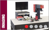 Laser Scanning Microscopy