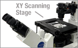 Low-Profile XY Scanning Stage