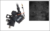 Miniature Two-Photon Microscope