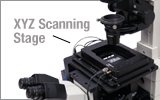 XYZ Microscope Stage