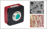 8.0 MP CCD Microscopy Cameras