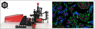 Multiphoton Microscopes: Bergamo® II Series