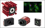 Microscopy Cameras